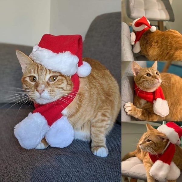 Julehatt med skjerf til katt, julekostymesett til valp, hund og katt
