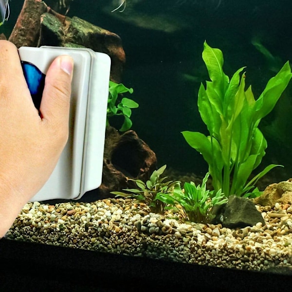 1 x Akvarierensebørste Magnetisk Glas Algefjerner