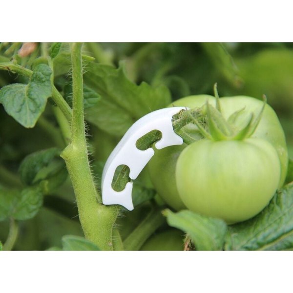 100 kpl kulmikkaita tomaattipihtejä estämään kasvin varsia taipumasta
