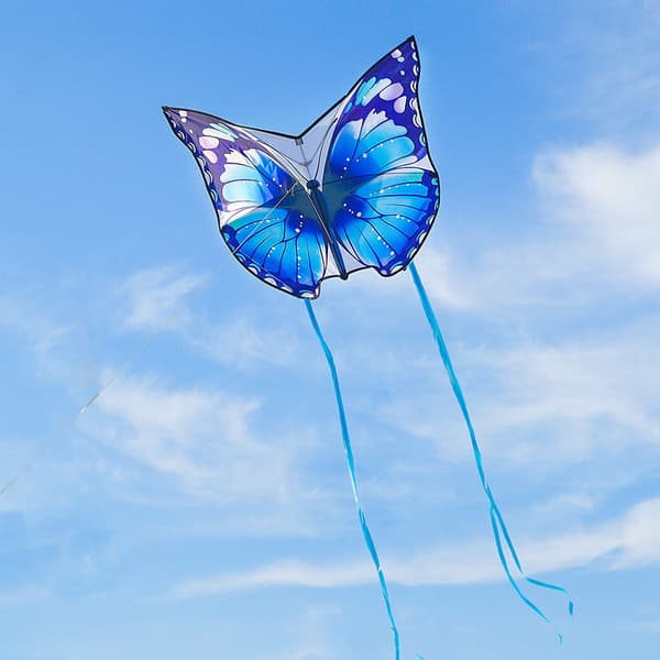 Butterfly Thief Drage Kite til Børn og Voksne Blå