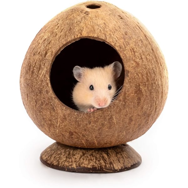 Coconut Hut Hamster House Bed for Gerbils Mus Smådyrbur