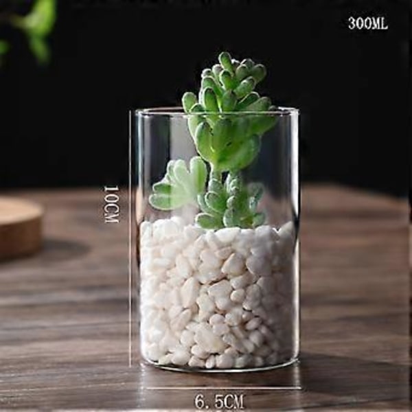 Klar Glasvas Blomvas Minimalistisk Glasvas Cylinderformad Blomvas för Bröllop Vardagsrum Dekorativ Gåva 6.5x10cm