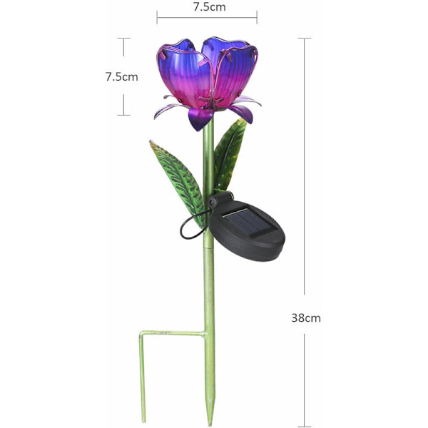 Solcelleblomstlampe, Lilla