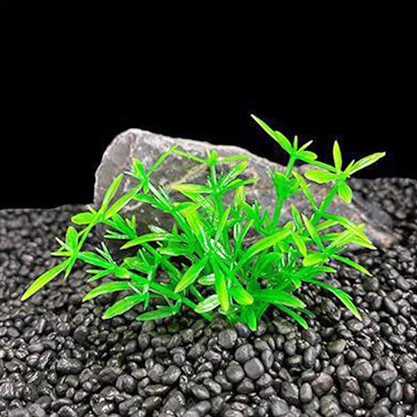 20 stk/lot Kunstige Plastplanter Akvariumplanter Små Høye Go