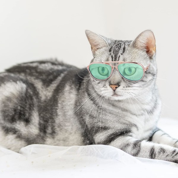 Solbriller til katte - Kat UV-beskyttelse Klassiske retro små hunde solbriller