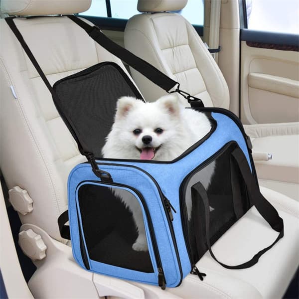 Transportabel Husdjursryggsäck för Utflykter - Himmelsblå S