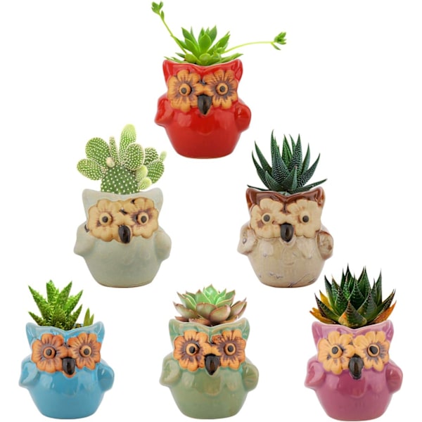 6 stycken suckulenta krukor mini uggla keramisk blomkruka kruka