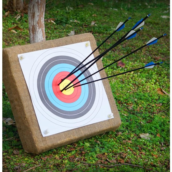 20 full ring targetpapper bågskytte mål 40cm x 40cm internation