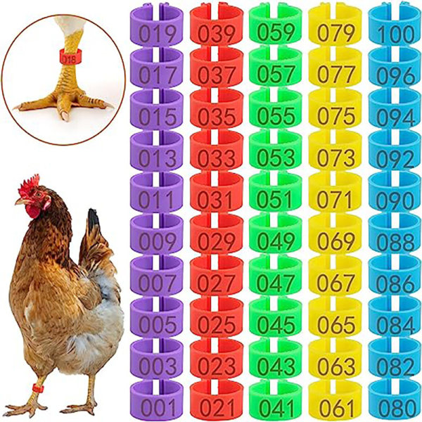 Kyckling ring igenkänning benring 20mm färgad plast kyckling wi