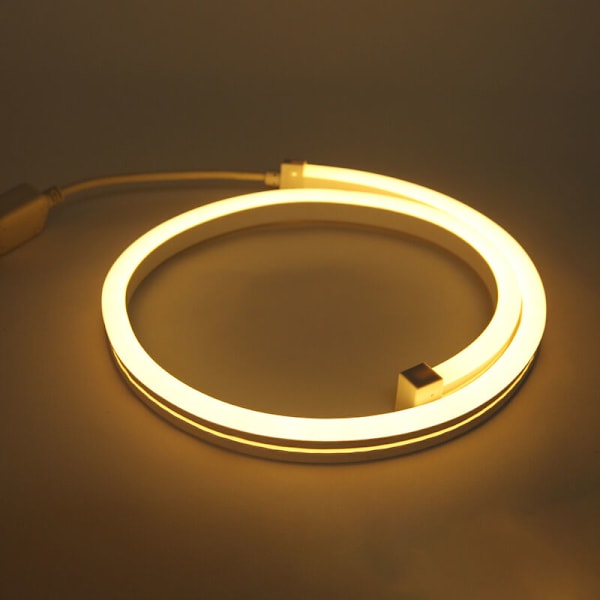 RGB Neonremsa, 24V LED Inomhus Vattentät, 1M Neonremsa för Dekoration