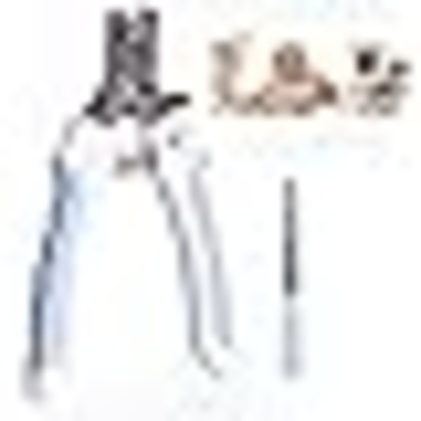 Cat Dog Nail Clipper, Dog Claw Clipper, turvalukolla ja naulalla