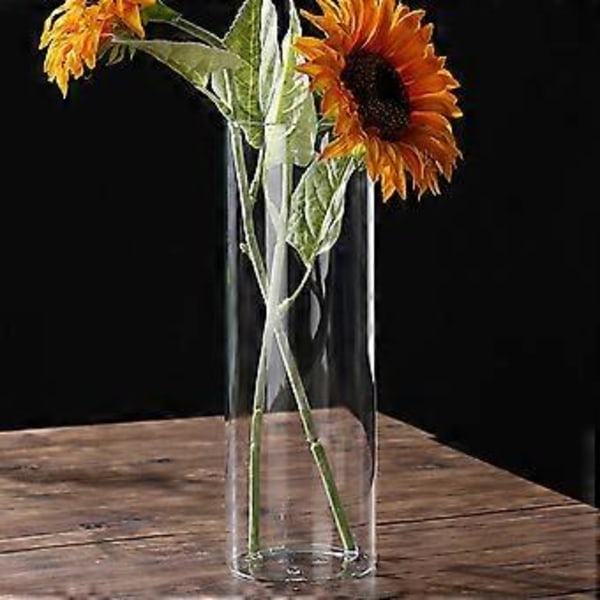 Klar Glasvas Blomvas Minimalistisk Glasvas Cylinderformad Blomvas för Bröllop Vardagsrum Dekorativ Gåva 10x30cm