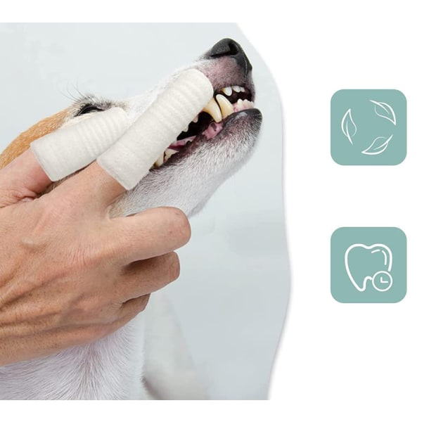 Hundtandborste, paket med 10 Återanvändbar fingertandborste Dog Anti-Pl