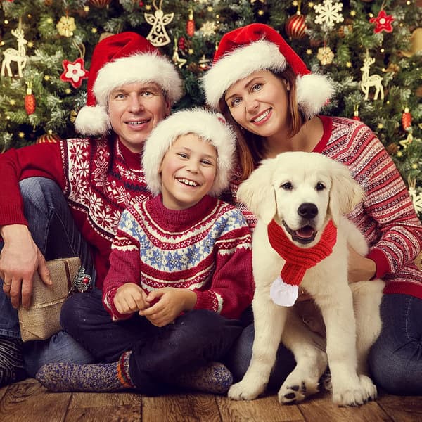 (Stor) Jul Hund Katt Tomte Halsduk, Hund Vinter Stickad Halsduk P
