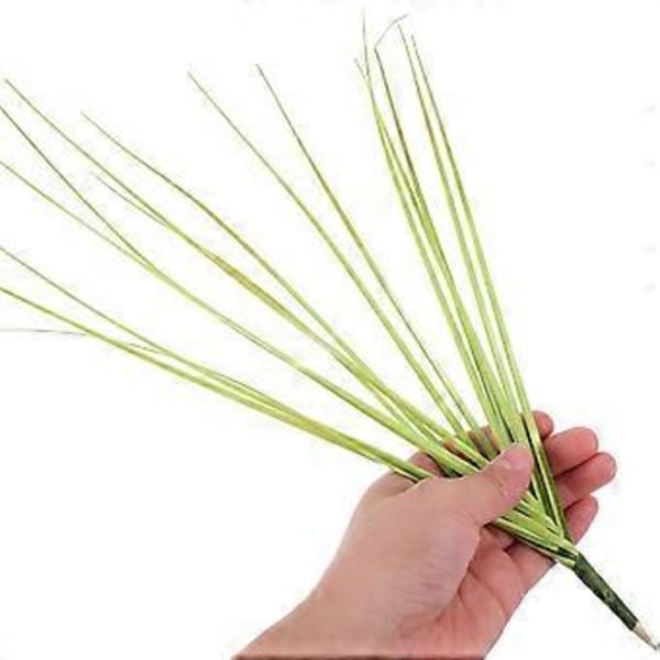 15 st Simuleringsgräs Konstgjort Gräs Dekor Vas Fyllmedel Blomsterarrangemang Dekorationer