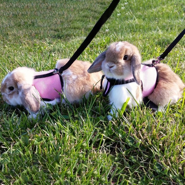 Rabbit Harness Comfortable Adjustable Traction Tool Ferret Rats Hamster Soft Mesh Harness Leash Vest Set Pet Supplies..