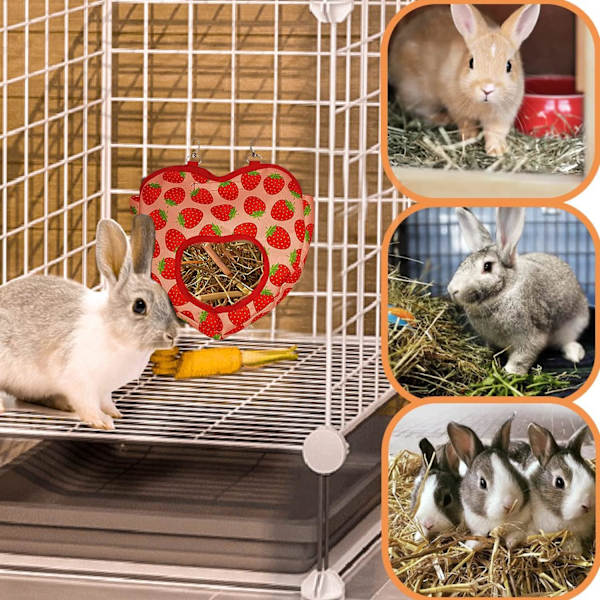 (liten jordgubbs höpåse) Jordgubbs höpåse för kanin/hamster/