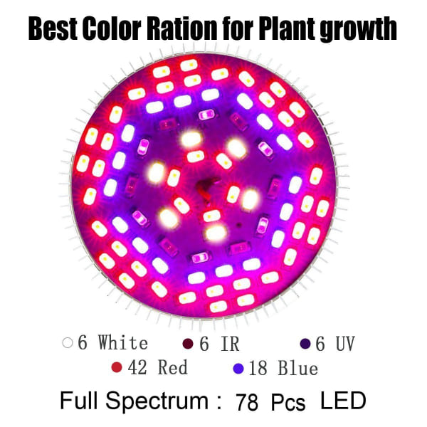 Fullspektrum LED-växtlampa, 50 Watt Odlad I Växthus