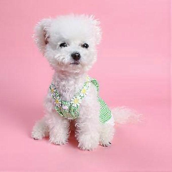 Flickhund Kläder Kostym Kläder Blommig Klänning Spets Prinsessklänning Vår Sommar för Valphundar och Katter Blå S Blue L
