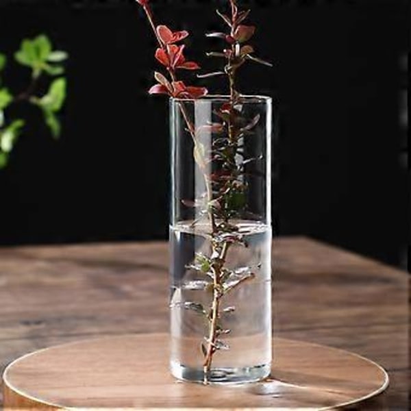Klar Glasvas Blomvas Minimalistisk Glasvas Cylinderformad Blomvas för Bröllop Vardagsrum Dekorativ Gåva 5.5x15cm
