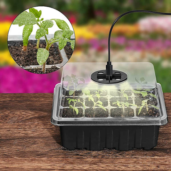 14,5 * 18,5 cm / 5,7 * 7,3 tum, (Grön) 5 plantlådor med 2