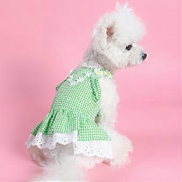 Flickhund Kläder Kostym Kläder Födelsedagsfest Klänningar Valp Blommig Klänning Spets Högtidsfest Kostymer Grön S Green L