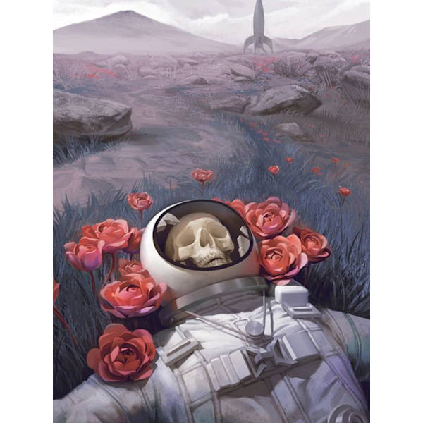 30x40cm 5D DIY timanttimaalaus täydellinen, Astronautes#B, DIY timantti Rh