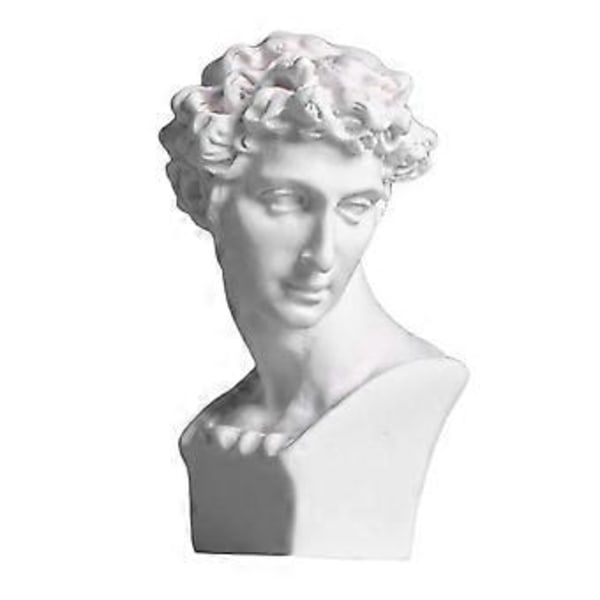 2.4 Tommers Klassisk Resin Gresk Hode Byste Statue Skulptur Figur Hjemmeinnredning Statue (David) David