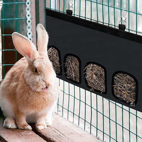 4 Ikkunaa Kaneille Hamsterit Marsut Pienet Eläimet