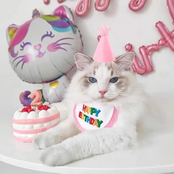 Rosa, husdjurshalsduk - Minihund och katt - Festsjalar och hatt -