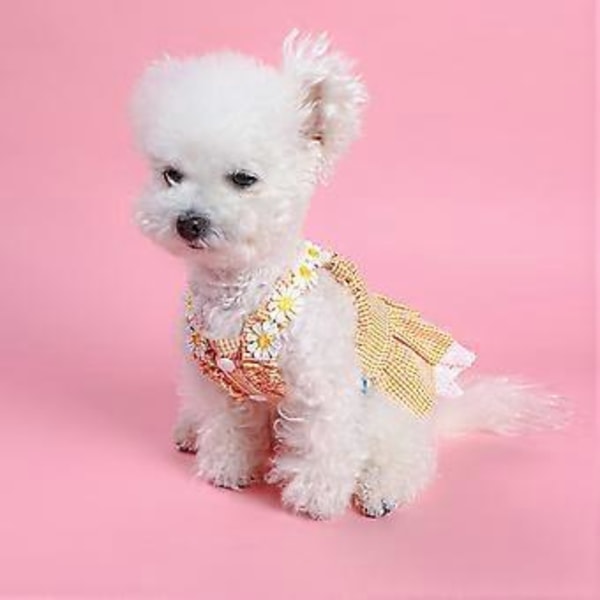 Flickhund Kläder Kostym Kläder Blommig Klänning Spets Prinsessklänning Vår Sommar för Valphundar och Katter Blå XS Blue XL