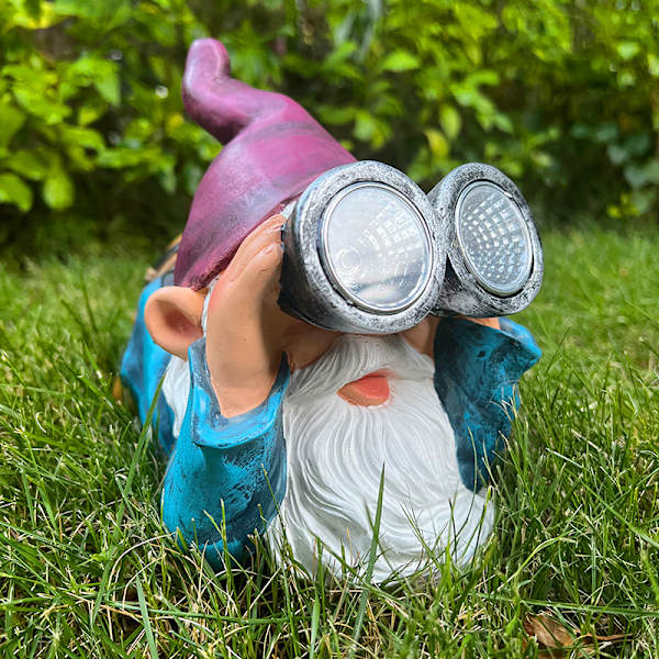 Sjov Havegnom med Solbelysning, Havegnom Figur, Wa