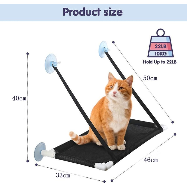 Katzen-fenster-sitzstange - Förbättrad fönsterabborre för katter med starka sugkoppar (upp till 10 kg)