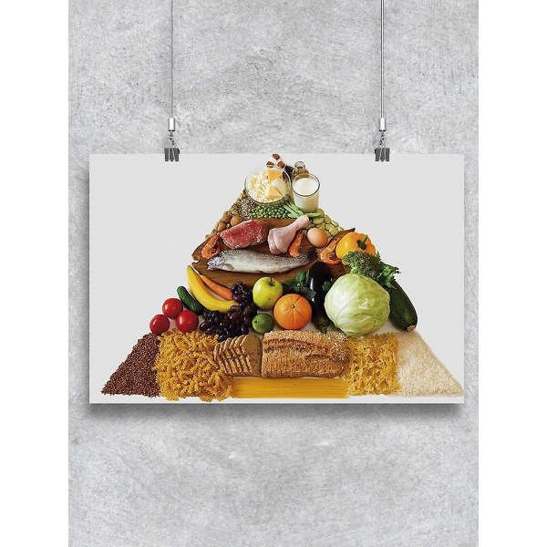 Affisch för matpyramid med vit bakgrund - Bild av Shutterstock Gloss 17"x25.5"