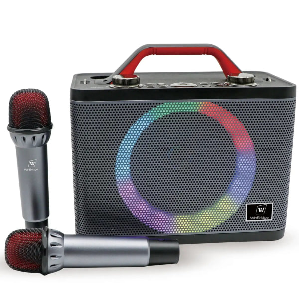 Ultraportabel karaokehögtalare med dubbla trådlösa Bluetooth trådlösa mikrofoner