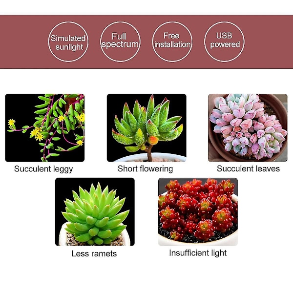 1/2/3/ Heads Plant Grow Light Lamps, USB Sunshine Light Red & Blue Lighting Led Plant Growth Lights Full Spectrum 2 head