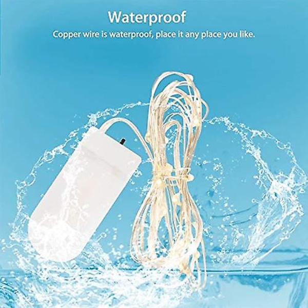 Vattentät Premium Fairy String Light 2M Knapp Mynt Torrbatteri Silver Koppartråd Varm Vit