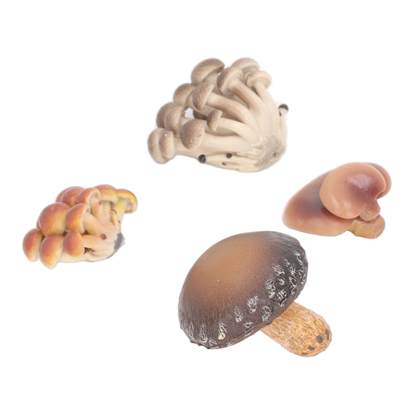 4-pack Miniatyr Svampmodell Set Hög Simulation Svampfigurer Dekoration för Utbildning Typ 1