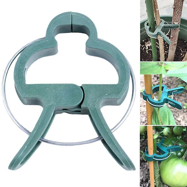 Puutarhakasvien kukkatarrainpidikkeet kasvien varren tukemiseen Small Small 10Pcs