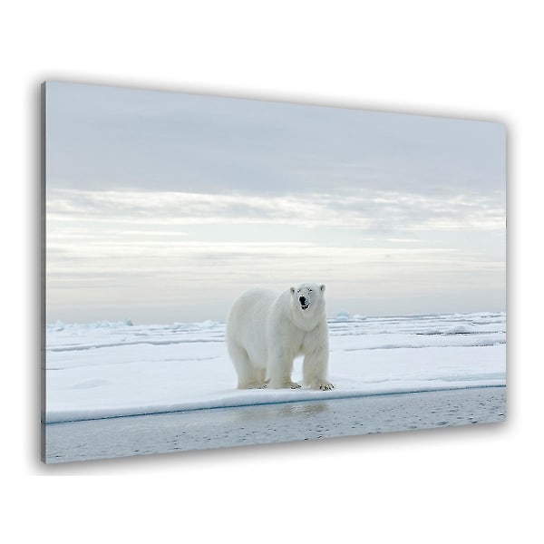 Isbjørnkart på pakkeis 100x60