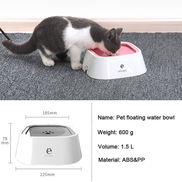 Bröllopsfest Födelsedagsfest Husdjurshår Spets Prinsessa Kronhund Katt Utomhus Människor Inga människor Plats Sällskapsdjur Håraccessoarer för kitty Valp Vit White