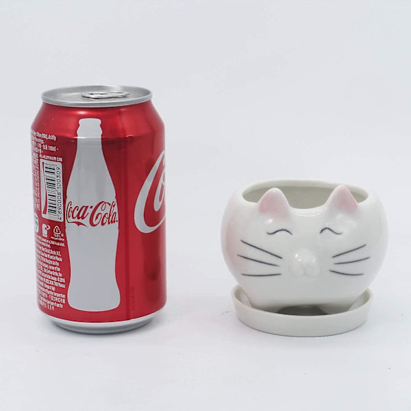 Katt Suckulentkruka Dräneringsbricka Keramisk kaktusblommabehållare