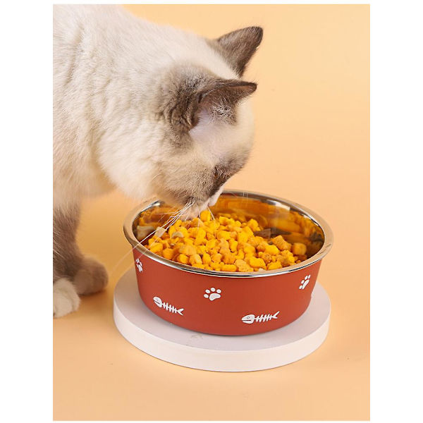 Matskål för husdjur Katt Rostfritt stål Plast Halkfri enkelskål Matare för dricksbricka Droppe-resistent Hållbar hundskål grey L