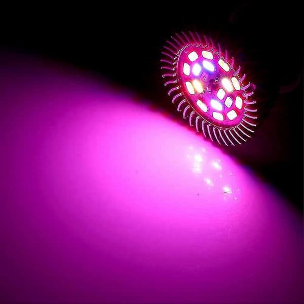 8w LED-vekstlys fullspektrum innendørs vekstlys (e14)