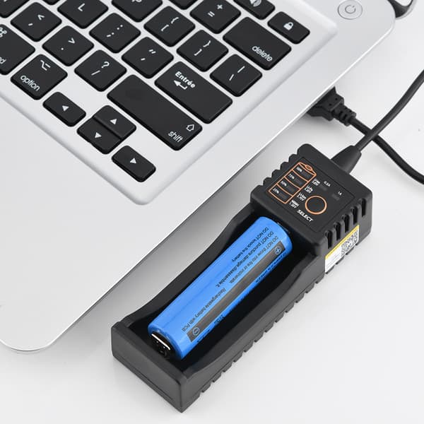 Lii-100 Mini USB Batterilader