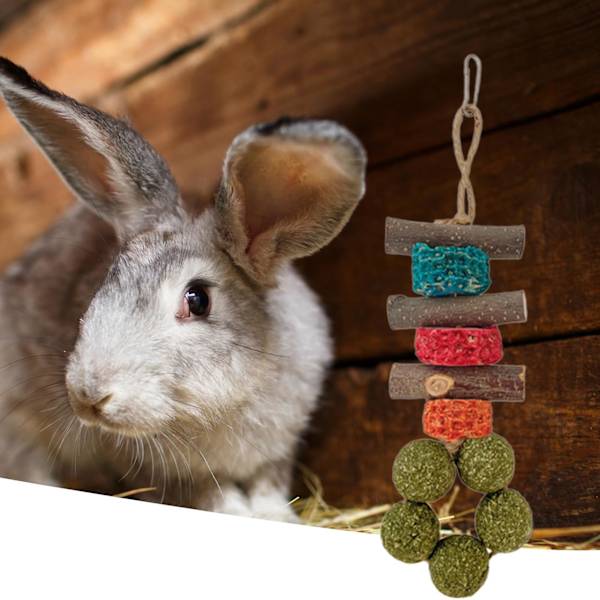 Hamsteri Tuggleksak Kaniner Bunny Chew Leksaker Poskitanko Tänder Rengöring Friskt gräs Pallohamsteri Leksak Djurtillbehör Stad Random Color A