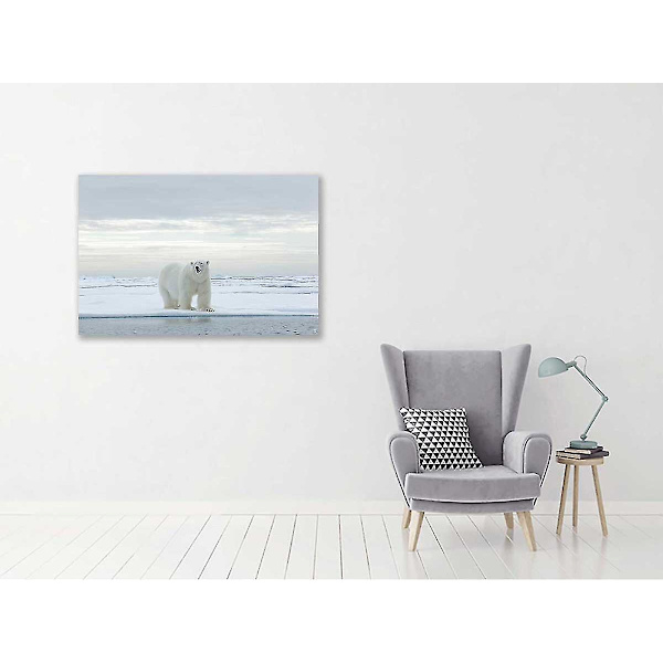 Jääkarhukaavio pakkajäällä 100x60