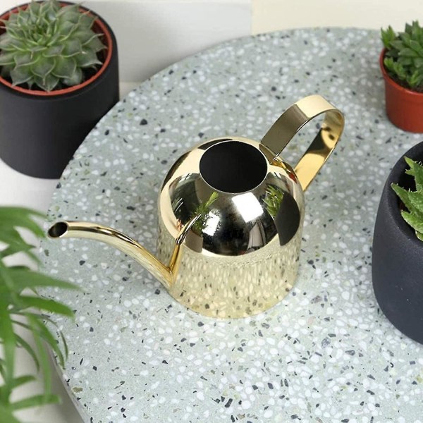 Vattenkanna i vintage Enhandsvattenkanna Vintage vattenkanna i mässing Liten vattenkanna i rostfritt stål Vattenkanna metallvatten