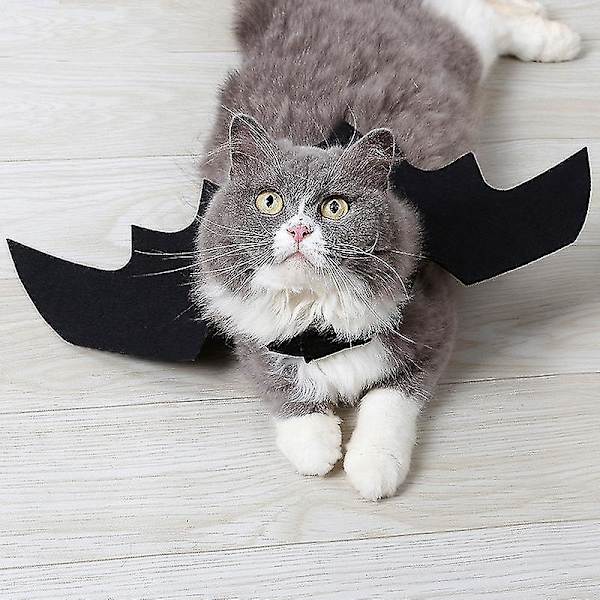 Katttillbehör Halloweendekorationer Kattsele Halloween Kattsele Söt liten husdjur Katt Fladdermusvinge Halloween Kattvingar Hallowen 1pc