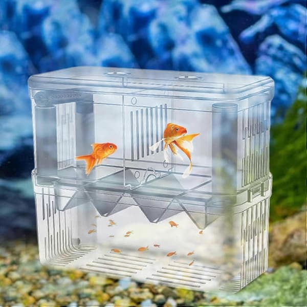 Fiskodlingslåda Tvåskiktad kläckeriskåp Transparent låda med sugkoppar för guppyer Clownfisk Småfiskar